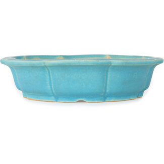  Shibakatsu (Katsuichi Shibata) 192 mm  blue bonsai pot by Shibakatsu, Tokoname, Japan