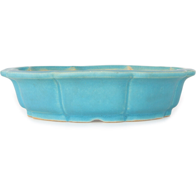 Lotus blue bonsai pot by Shibakatsu - 192 x 192 x 53 mm