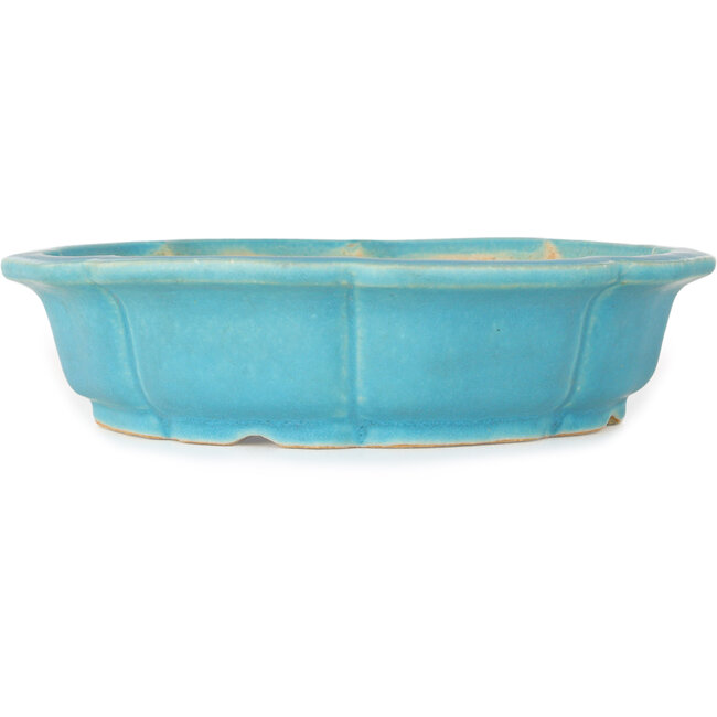 Vaso bonsai blu loto di Shibakatsu - 192 x 192 x 53 mm