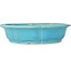 Lotus blue bonsai pot by Shibakatsu - 192 x 192 x 53 mm