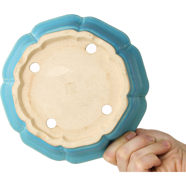 Maceta de bonsái azul loto de Shibakatsu - 192 x 192 x 53 mm