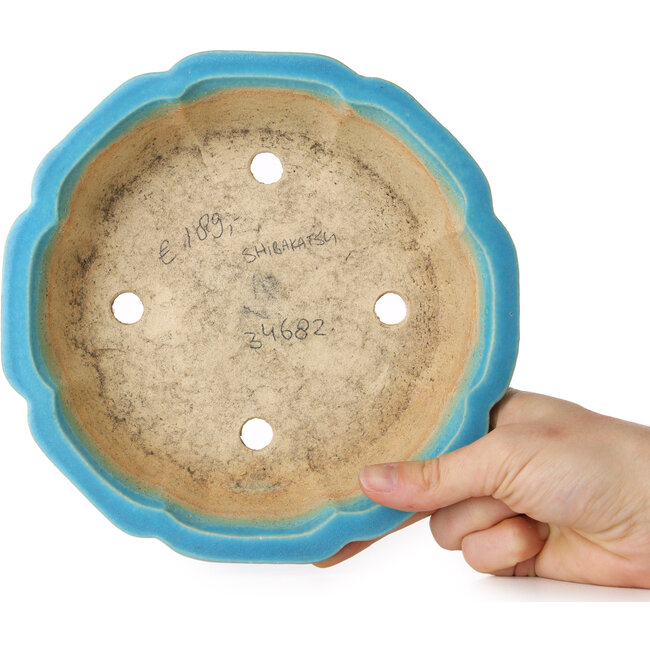 Pot à bonsaï Lotus bleu par Shibakatsu - 192 x 192 x 53 mm