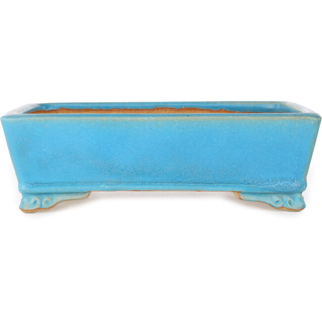 Rectangular blue bonsai pot by Shibakatsu - 182 x 140 x 55 mm