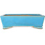 Rectangular blue bonsai pot by Shibakatsu - 182 x 140 x 55 mm