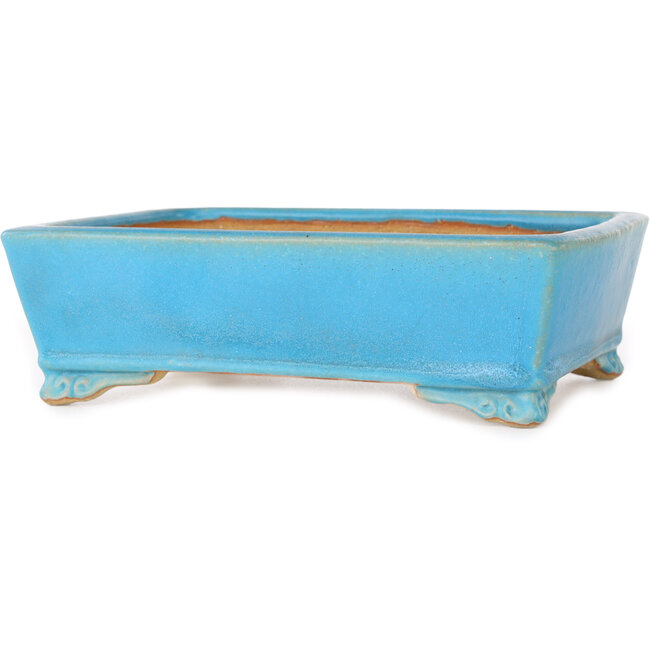 Maceta rectangular azul para bonsái de Shibakatsu - 182 x 140 x 55 mm
