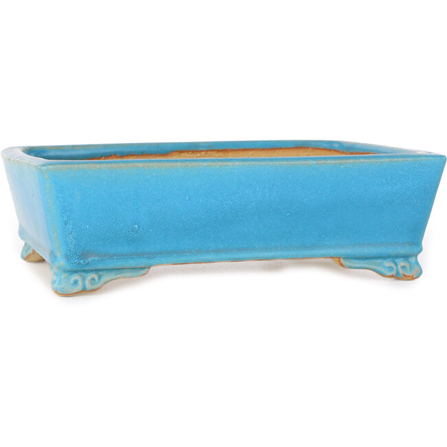 Pot à bonsaï rectangulaire bleu de Shibakatsu - 182 x 140 x 55 mm