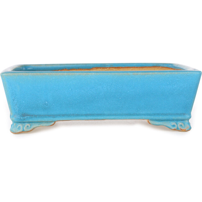 Maceta rectangular azul para bonsái de Shibakatsu - 182 x 140 x 55 mm