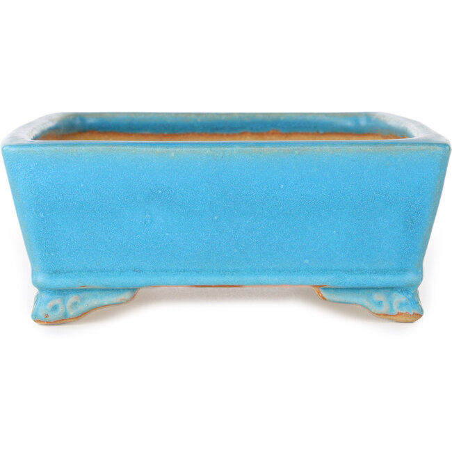 Maceta rectangular azul para bonsái de Shibakatsu - 182 x 140 x 55 mm