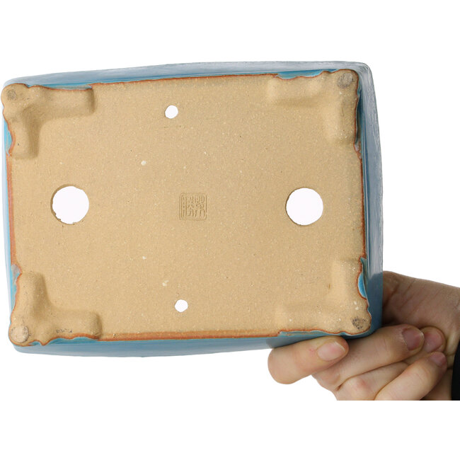 Pot à bonsaï rectangulaire bleu de Shibakatsu - 182 x 140 x 55 mm