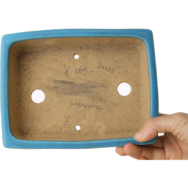 Rectangular blue bonsai pot by Shibakatsu - 182 x 140 x 55 mm
