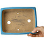 Rectangular blue bonsai pot by Shibakatsu - 182 x 140 x 55 mm