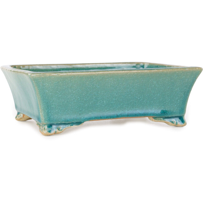 Pot à bonsaï rectangulaire bleu de Shibakatsu - 185 x 147 x 60 mm