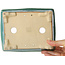 Pot à bonsaï rectangulaire bleu de Shibakatsu - 185 x 147 x 60 mm