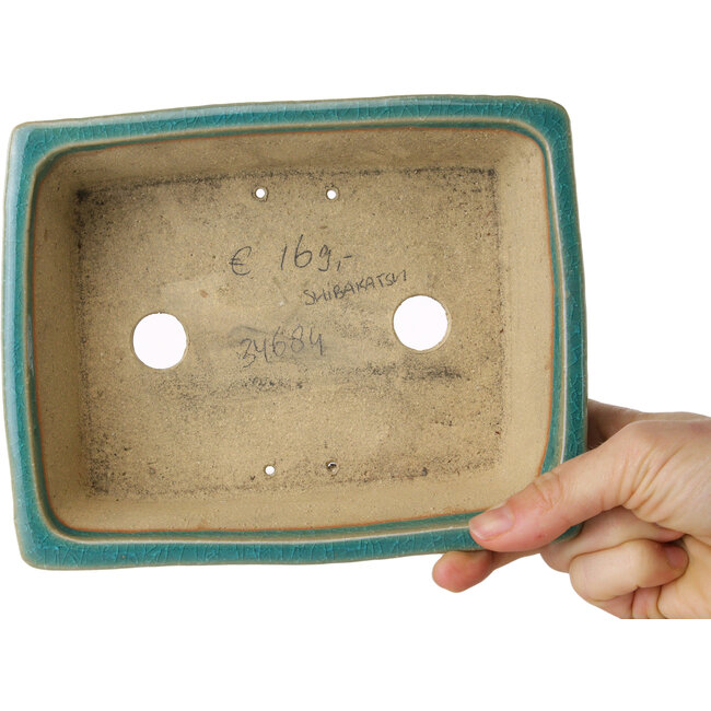 Pot à bonsaï rectangulaire bleu de Shibakatsu - 185 x 147 x 60 mm