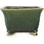 Square green bonsai pot by Shibakatsu - 150 x 147 x 95 mm