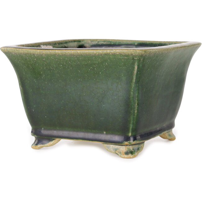 Pot à bonsaï carré vert de Shibakatsu - 150 x 147 x 95 mm