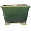 Square green bonsai pot by Shibakatsu - 150 x 147 x 95 mm