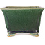 Square green bonsai pot by Shibakatsu - 150 x 147 x 95 mm