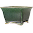 Square green bonsai pot by Shibakatsu - 150 x 147 x 95 mm