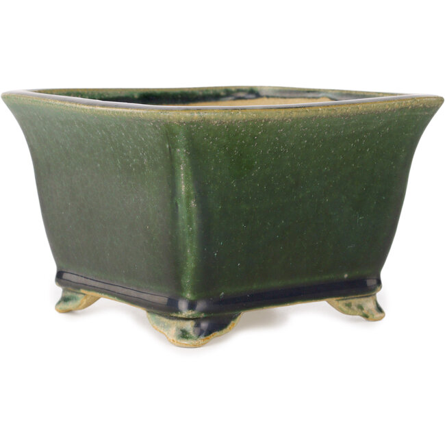 Square green bonsai pot by Shibakatsu - 150 x 147 x 95 mm