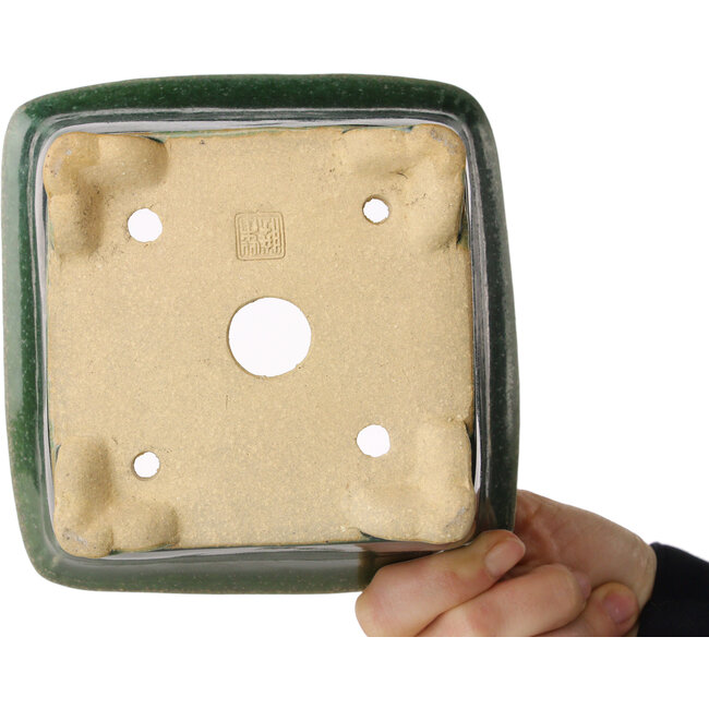 Pot à bonsaï carré vert de Shibakatsu - 150 x 147 x 95 mm