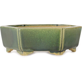  Shibakatsu (Katsuichi Shibata) 150 mm  green bonsai pot by Shibakatsu, Tokoname, Japan