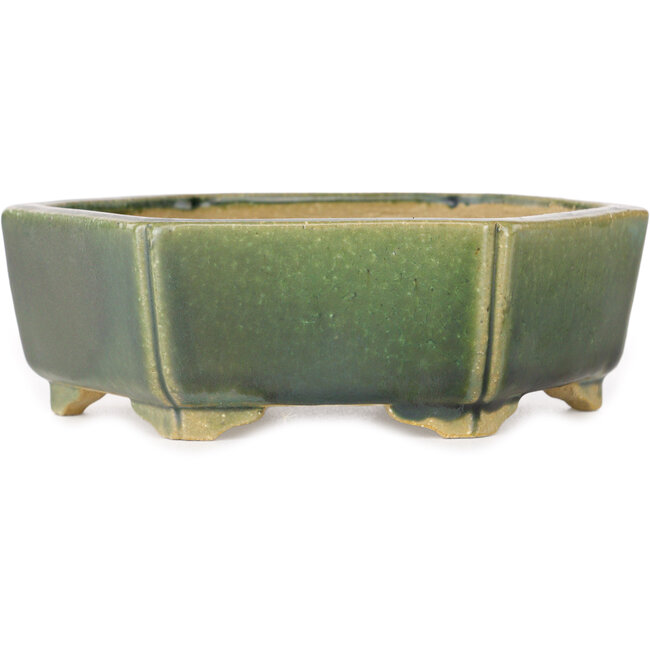 Hexagonal green bonsai pot by Shibakatsu - 150 x 150 x 50 mm