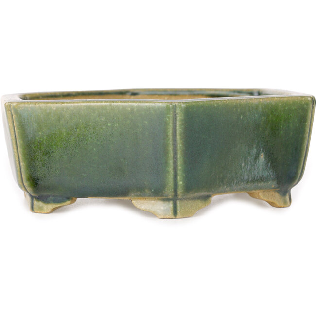 Maceta hexagonal verde para bonsái de Shibakatsu - 150 x 150 x 50 mm