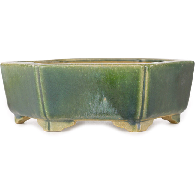 Vaso bonsai esagonale verde di Shibakatsu - 150 x 150 x 50 mm