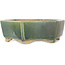 Hexagonal green bonsai pot by Shibakatsu - 150 x 150 x 50 mm