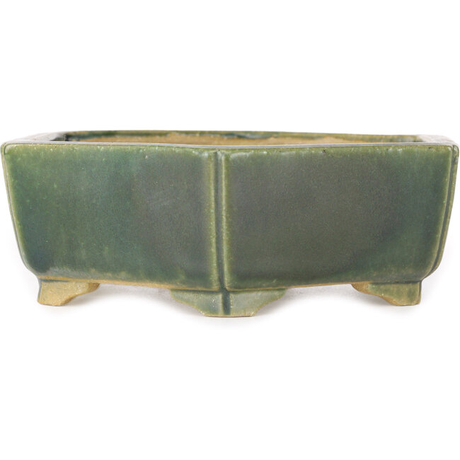Maceta hexagonal verde para bonsái de Shibakatsu - 150 x 150 x 50 mm