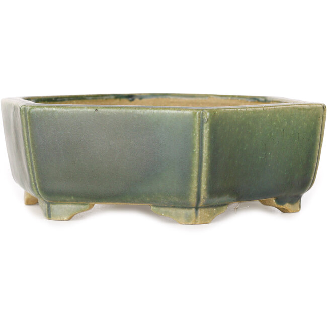 Hexagonal green bonsai pot by Shibakatsu - 150 x 150 x 50 mm