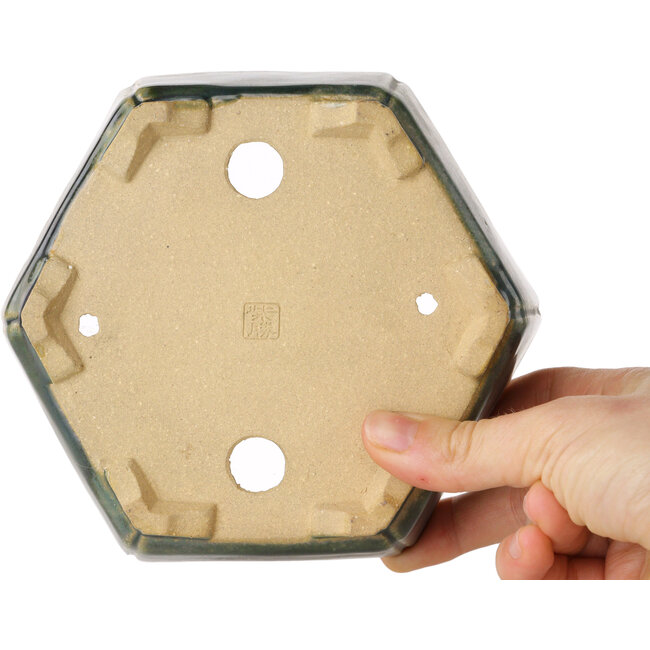 Maceta hexagonal verde para bonsái de Shibakatsu - 150 x 150 x 50 mm