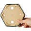 Hexagonal green bonsai pot by Shibakatsu - 150 x 150 x 50 mm