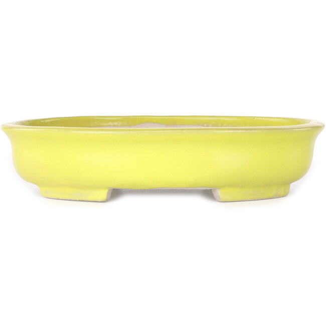 Oval yellow bonsai pot by Shibakatsu - 210 x 180 x 45 mm