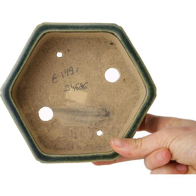 Maceta hexagonal verde para bonsái de Shibakatsu - 150 x 150 x 50 mm