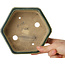 Hexagonal green bonsai pot by Shibakatsu - 150 x 150 x 50 mm