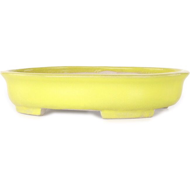 Vaso bonsai ovale giallo di Shibakatsu - 210 x 180 x 45 mm