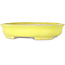 Oval yellow bonsai pot by Shibakatsu - 210 x 180 x 45 mm
