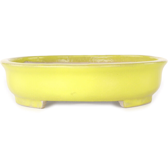 Ovale gele bonsaipot van Shibakatsu - 210 x 180 x 45 mm