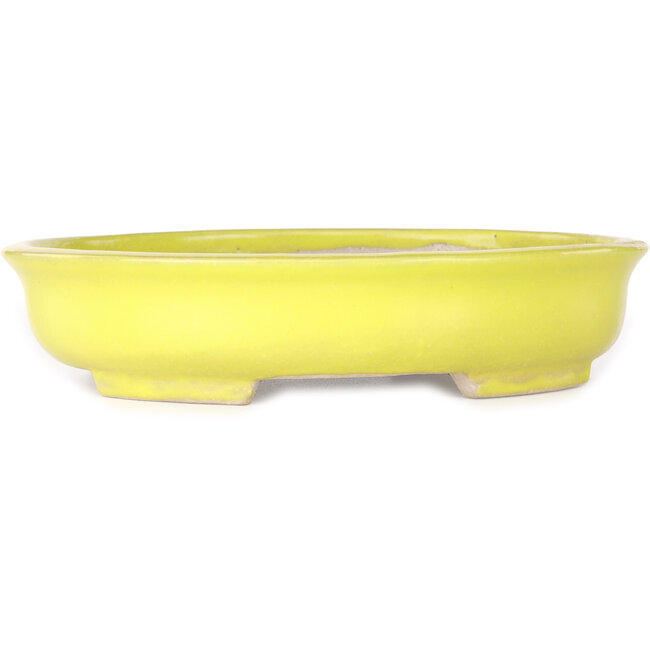 Pot à bonsaï ovale jaune de Shibakatsu - 210 x 180 x 45 mm