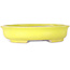 Oval yellow bonsai pot by Shibakatsu - 210 x 180 x 45 mm