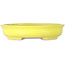 Oval yellow bonsai pot by Shibakatsu - 210 x 180 x 45 mm