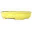 Oval yellow bonsai pot by Shibakatsu - 210 x 180 x 45 mm