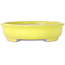 Oval yellow bonsai pot by Shibakatsu - 210 x 180 x 45 mm