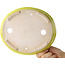 Pot à bonsaï ovale jaune de Shibakatsu - 210 x 180 x 45 mm