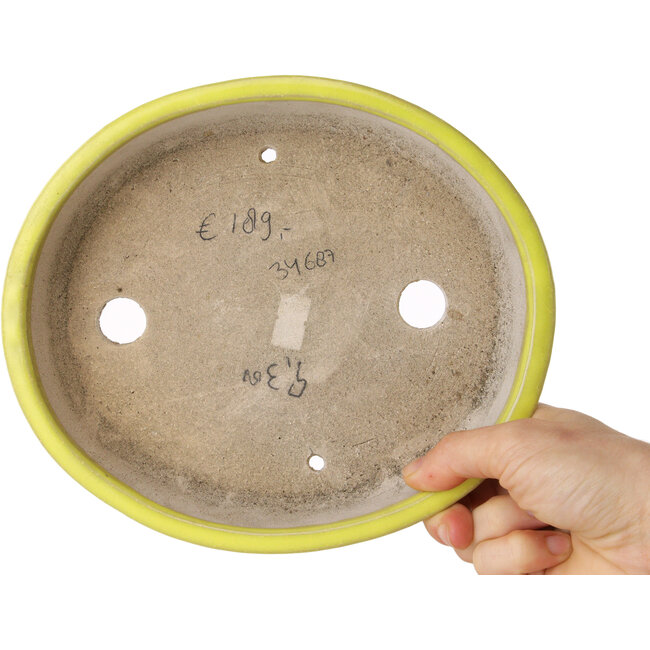 Pot à bonsaï ovale jaune de Shibakatsu - 210 x 180 x 45 mm