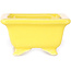 Rechthoekige gele bonsaipot van Shibakatsu - 87 x 70 x 38 mm
