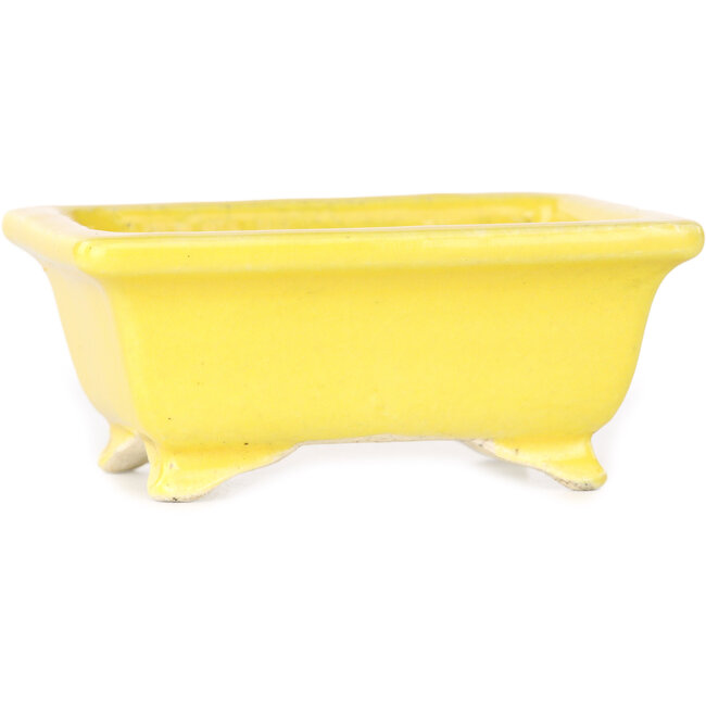 Pot à bonsaï rectangulaire jaune de Shibakatsu - 87 x 70 x 38 mm