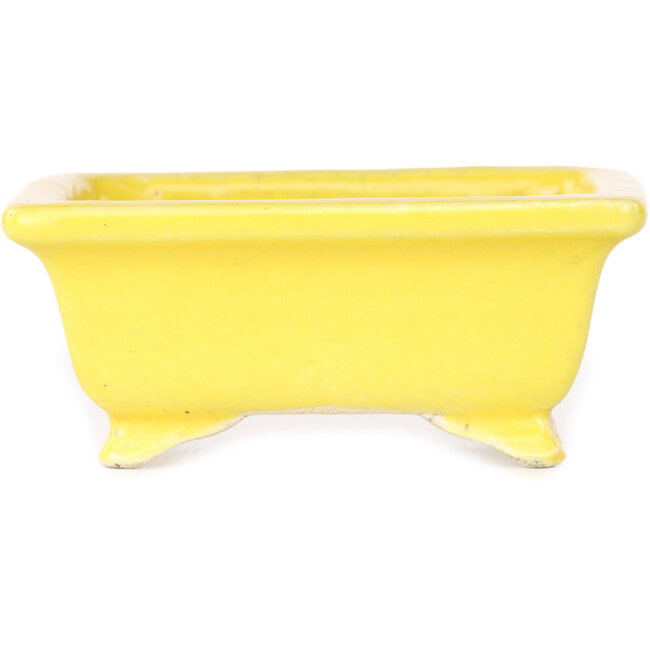 Rectangular yellow bonsai pot by Shibakatsu - 87 x 70 x 38 mm